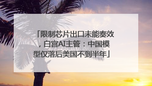 限制芯片出口未能奏效，白宫AI主管：中国模型仅落后美国不到半年