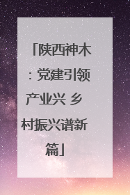 陕西神木：党建引领产业兴 乡村振兴谱新篇