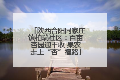 陕西合阳同家庄镇柏瑞社区：百亩杏园迎丰收 果农走上“杏”福路