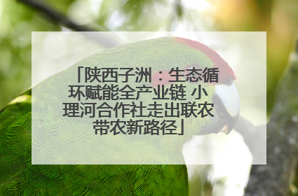 陕西子洲：生态循环赋能全产业链 小理河合作社走出联农带农新路径
