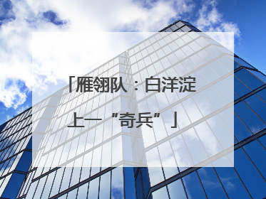 雁翎队：白洋淀上一“奇兵”
