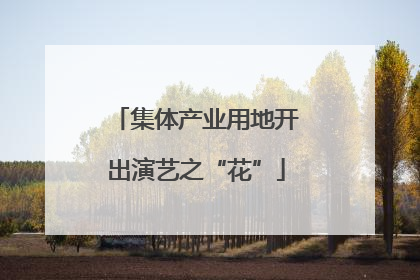 集体产业用地开出演艺之“花”