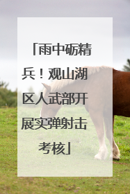 雨中砺精兵！观山湖区人武部开展实弹射击考核
