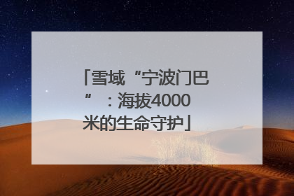 雪域“宁波门巴”：海拔4000米的生命守护