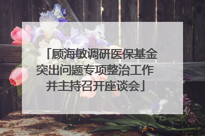 顾海敏调研医保基金突出问题专项整治工作并主持召开座谈会