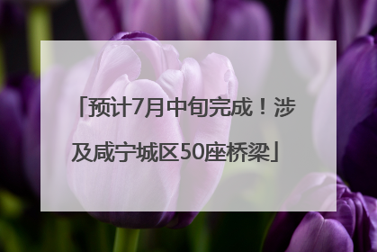 预计7月中旬完成！涉及咸宁城区50座桥梁