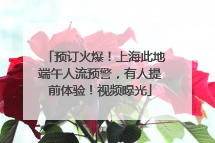 预订火爆！上海此地端午人流预警，有人提前体验！视频曝光