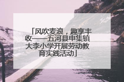 风吹麦浪，趣享丰收——五河县申集镇大李小学开展劳动教育实践活动