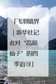 飞羽镜界｜新华社记者对“高原仙子”的四季追寻