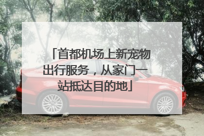 首都机场上新宠物出行服务，从家门一站抵达目的地