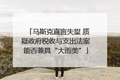 马斯克直言失望 质疑政府税收与支出法案能否兼具“大而美”