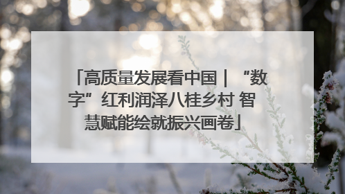 高质量发展看中国｜“数字”红利润泽八桂乡村 智慧赋能绘就振兴画卷
