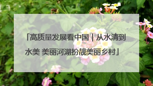 高质量发展看中国｜从水清到水美 美丽河湖扮靓美丽乡村