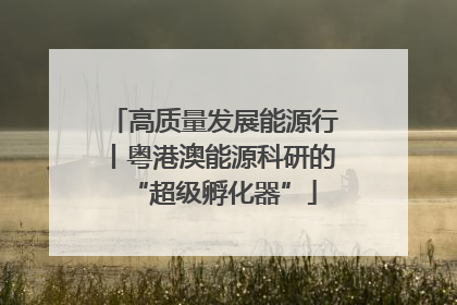 高质量发展能源行丨粤港澳能源科研的“超级孵化器”