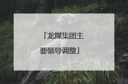 龙煤集团主要领导调整