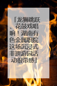 龙狮跳跃、花鼓戏唱响！湖南有色金属职院这场沉浸式非遗游园活动很带感