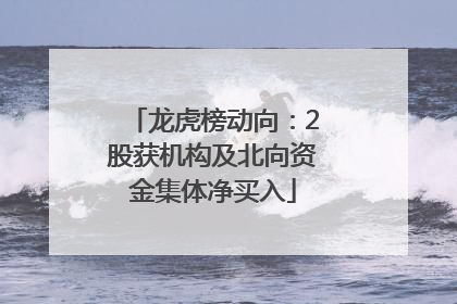 龙虎榜动向：2股获机构及北向资金集体净买入