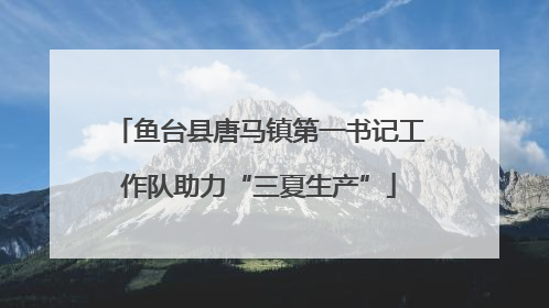 鱼台县唐马镇第一书记工作队助力“三夏生产”