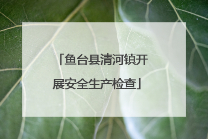 鱼台县清河镇开展安全生产检查