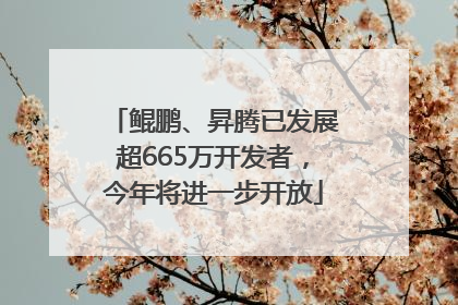 鲲鹏、昇腾已发展超665万开发者，今年将进一步开放