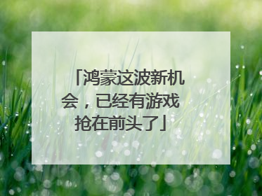 鸿蒙这波新机会，已经有游戏抢在前头了