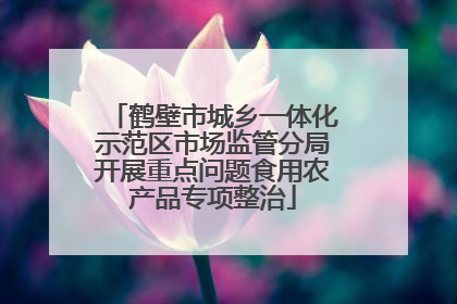 鹤壁市城乡一体化示范区市场监管分局开展重点问题食用农产品专项整治