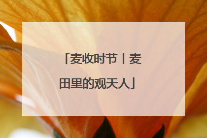 麦收时节丨麦田里的观天人