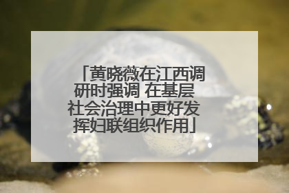 黄晓薇在江西调研时强调 在基层社会治理中更好发挥妇联组织作用