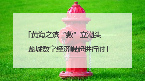 黄海之滨“数”立潮头——盐城数字经济崛起进行时
