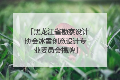 黑龙江省勘察设计协会冰雪创意设计专业委员会揭牌