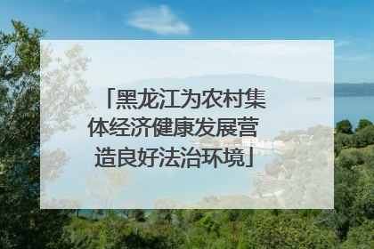 黑龙江为农村集体经济健康发展营造良好法治环境