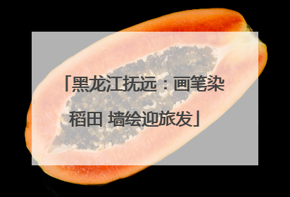 黑龙江抚远：画笔染稻田 墙绘迎旅发