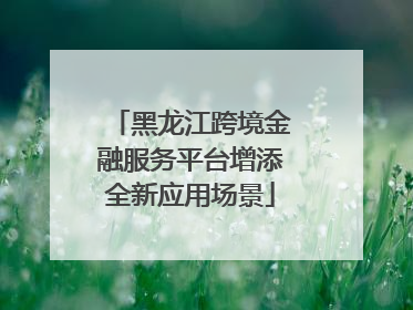 黑龙江跨境金融服务平台增添全新应用场景