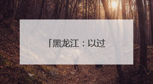 黑龙江：以过硬作风全面履职勇于担当