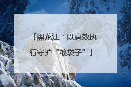 黑龙江：以高效执行守护“粮袋子”