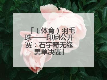 （体育）羽毛球——印尼公开赛：石宇奇无缘男单决赛