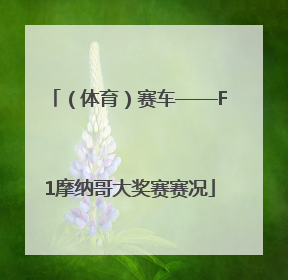 （体育）赛车——F1摩纳哥大奖赛赛况