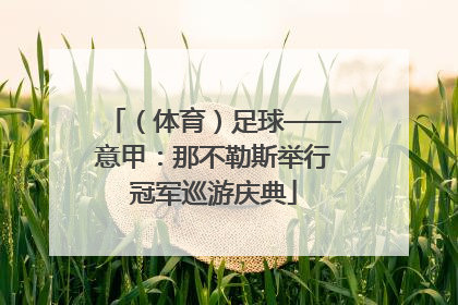 （体育）足球——意甲：那不勒斯举行冠军巡游庆典