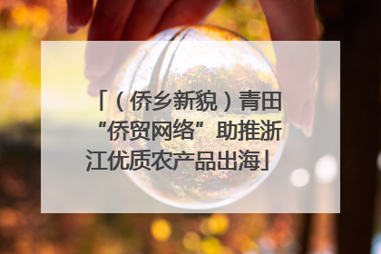 （侨乡新貌）青田“侨贸网络”助推浙江优质农产品出海