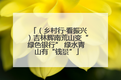 （乡村行·看振兴）吉林辉南荒山变“绿色银行” 绿水青山有“钱景”