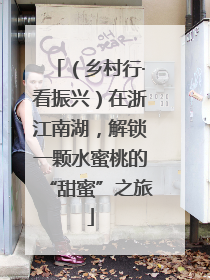 （乡村行·看振兴）在浙江南湖，解锁一颗水蜜桃的“甜蜜”之旅