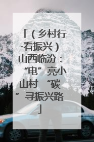 （乡村行·看振兴）山西临汾：“电”亮小山村 “碳”寻振兴路