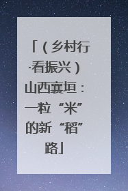 （乡村行·看振兴）山西襄垣：一粒“米”的新“稻”路
