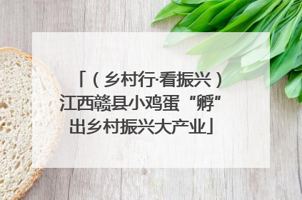 （乡村行·看振兴）江西赣县小鸡蛋“孵”出乡村振兴大产业