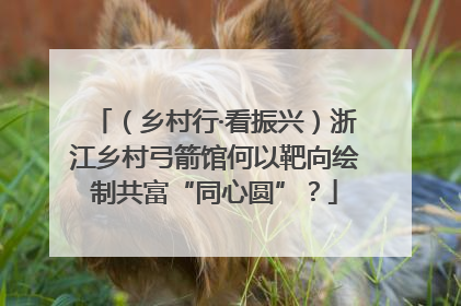 （乡村行·看振兴）浙江乡村弓箭馆何以靶向绘制共富“同心圆”？