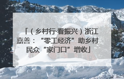 （乡村行·看振兴）浙江嘉善：“零工经济”助乡村民众“家门口”增收