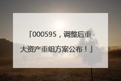 000595，调整后重大资产重组方案公布！