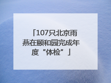107只北京雨燕在颐和园完成年度“体检”