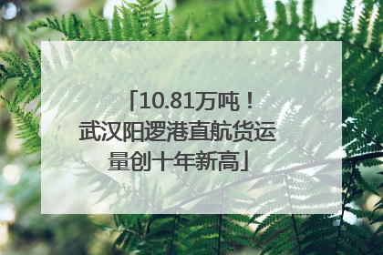 10.81万吨！武汉阳逻港直航货运量创十年新高