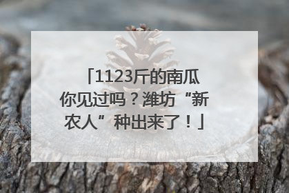 1123斤的南瓜你见过吗？潍坊“新农人”种出来了！
